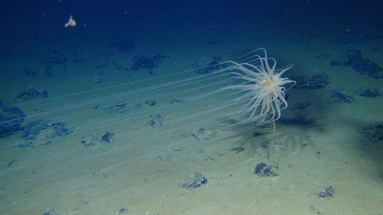 1596425810210461.jpg 微信圖片_20200803113551.jpg